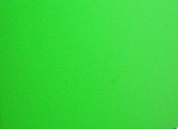 Dell D610 Laptop - Windows 7 - Green