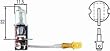 H3 Halogen Bulb 12V 100W For PN [998502001]
