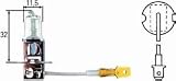 H3 Halogen Bulb 12V 100W For PN [998502001]