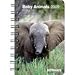 Baby Animals 2009 Calendar