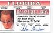 Backstreet Boys A. J. Fake Drivers License