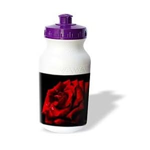 Valentines Day - Valentine rose - Water Bottles