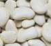 Baby Lima Beans, Bulk, 16 oz