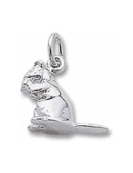 Chipmunk Charm