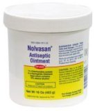 Nolvasan Ointment - 16 oz