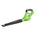 Greenworks 24102A 40-Volt 4 Amp Hour Cordless Lithium Ion Leaf Blower