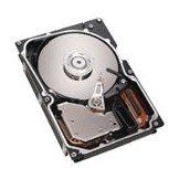 146GB 15K Hot Swap Sas