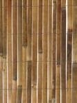 from Primrose Bamboo slat screen - 4 metre rolls - 1.8m High