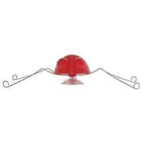 NINO - Fun Brazilian Jungle Bug - Collectible suction cup jumping toy