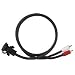 Clarion CCAAUX Female 3.5mm Stereo Mini-Jack to Male RCA Extension Cable with Integrated Cover