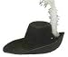 Cavalier Costume Hat