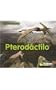 Pterodáctilo (Dinosaurios/ Dinosaurs) (Spanish Edition)