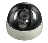 1/3 SONY Super HAD CCD 480 TVL Wireless 802.11B/G Dome Network IP Camera with H.264 Video & Two Way Audio