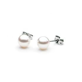 AAA Quality Round 5.5-6mm Akoya SaltWater cultured White Pearl Earrings with... by Augustina Jewelry