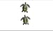 Clearly Charming Olive Ridley Silver and Enamel Post Earrings