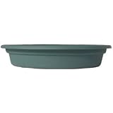 Duraco #SDC14 WAST 13-5/8 Wasabi Saucer