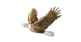 Clearly Charming Bald Eagle Bird Silver & Enamel Pin