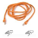 Belkin CAT5E Patch Cable  RJ45M/RJ45M; 10 Orange