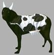 Moo Cow Dog Costume