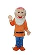 Snow White's 7 Dwarfs #5 Bashful Adult Mascot Costume