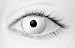 Contact Lens Zombie Very High Quality Stamping ,Price Is For A Pair Including Free Solution And Casing.