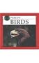 Birds (Predators Discovery Library)