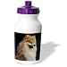 pomeranian16  - Dogs Pomeranian Pomeranian portrait Water Bottles