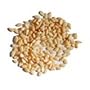 Sesame Seed Toasted