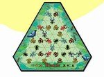Poison Arrow Frogs The Best of Triazzle Puzzles In-a-box by Toysmith (DaMert) #797320