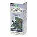 Sambucus Black Elderberry