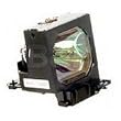 Sony LMP-P200 Lamp for VPL-PX20/PX30 and VW10HT Projectors