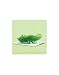 MEE The Lizard - Tynies Miniature Glass Figurine_s-1