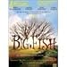 Bigh Fish (El Gran Pez) [NTSC/REGION 4 DVD] Import-Latin America.