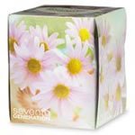 Seventh Generation Facial Tissue, 2-Ply, 85 Sheets