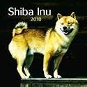 Shiba Inu 2010 Wall Calendar