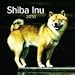 Shiba Inu 2010 Wall Calendar