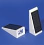 Galaxy Solar Wedge Accent Light