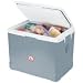 Amazon price tracker, Amazon price history charts, Igloo Cool Chill Thermoelectric Cooler (Mercury/White, 40-Quart)