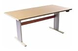 AD-AS Infinity Computer Table with Powered Adjustment