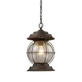 Landmark Lighting Manchester Outdoor Collection Hanging Lantern in Burnt Bronze