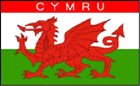 Fridge Magnets Set of 4-Wales Dragon Welsh Cymru Flag-70mm x 45mm