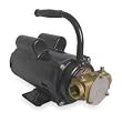 Dayton 3ACD3 Pump, Flexible Impeller, 1 HP, 115/230V
