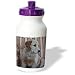 golden_retriever48golden retriever - Dogs Golden Retriever Golden Retriever Water Bottles