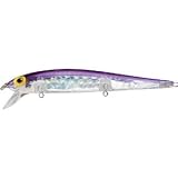 Storm Original ThunderStick Lures Size: ThunderStick (#11, Floating, 4 1/2"); Color: Prizmflash Purple Back (185)