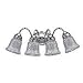 Sea Gull Lighting 4873-05 Brookchester Four-Light Vanity, Chrome Finish with Clear Ribbed Glass