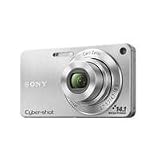 Sony DSC-W350 14.1MP Digital Camera with 4x Wide Angle Zoom with Optical Steady Shot Image Stabilization and 2.7 inch LCD (Silver)