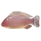 Puppy Fish Large