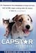 Pet Supplies : CAPSTAR BLUE for Cats/Dogs 2-25lbs (6 tablets)