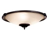 Emerson LK53AW Low Profile Light Fixture, Summer White