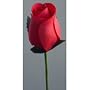 The Wood Rose Garden 24MIXRED Single and Tri-Bud Wooden Roses 24-Piece Display - Red (1 Each)